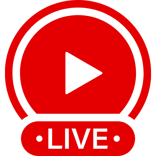 Live Cam Hamster | Live Webcam Shows & Interactive Adult Entertainment